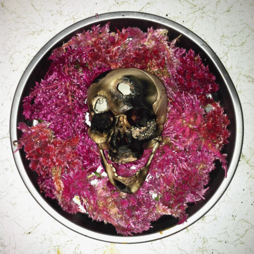 Starman Jr : Bringing Up the Worm